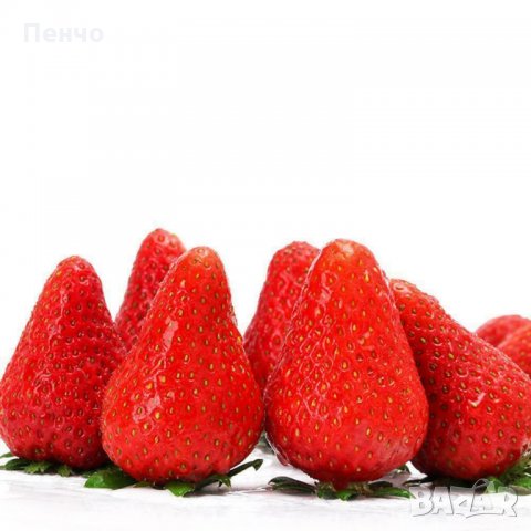 100 гигантски ягодови семена от плод ягода ягоди органични плодови ягодови семена от вкусни ягоди от, снимка 15 - Сортови семена и луковици - 27610133