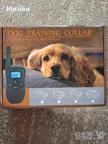 Електрически каишки за дресировка на кучета