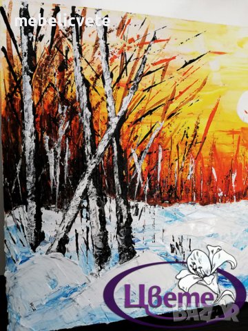 Платно “Зимен полъх”