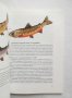Книга Рибите, земноводните и влечугите на Родопите - Младен Живков 2001 г., снимка 3