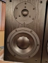Продавам тонколони SWANS DIY 2.2, снимка 3