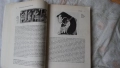 Николай Кун - Старогръцки легенди и митове 2002; Старогръцки легенди и митове Наука и изкуство 1985 , снимка 4