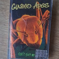 Оригинална касета Guano Apes, снимка 1 - Аудио касети - 43315446