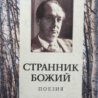 Странник божий - Владимир Набоков, снимка 1 - Художествена литература - 28952017