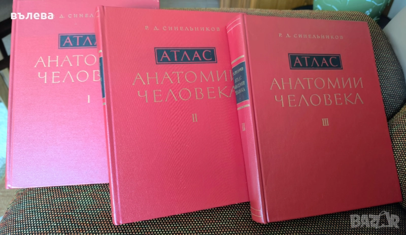 Атласи по анатомия на човека , снимка 1