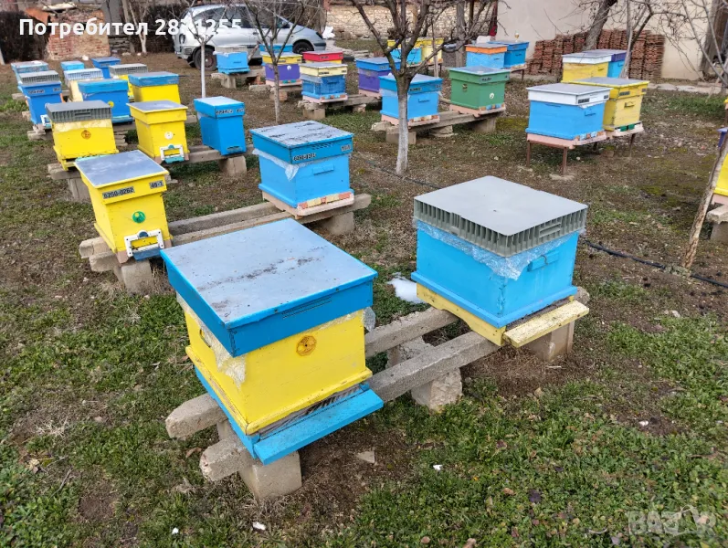 Пчелни отводки, снимка 1