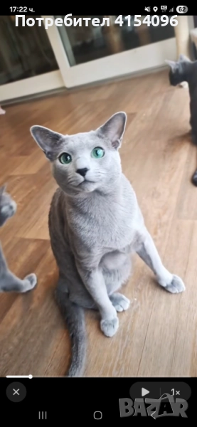 Купувам, снимка 1