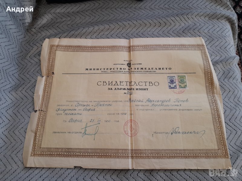 Свидетелство за Държавен изпит 1950, снимка 1