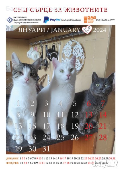 Благотворителен календар с котки 2024 и подарък бродирано чорапче, снимка 1