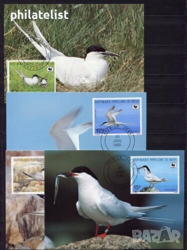 Бенин 1989 - 4 броя Карти Максимум - WWF, снимка 1