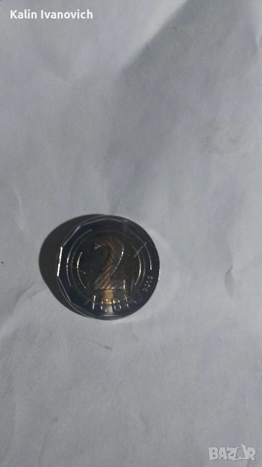 монета от 2лв , снимка 1
