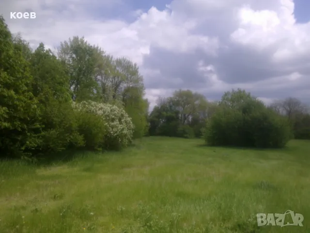 Създаваме ПЧЕЛИНИ от А до Я и подготвяме участие в Пчеларските програми на ДФ Земеделие, снимка 6 - Други - 48150261