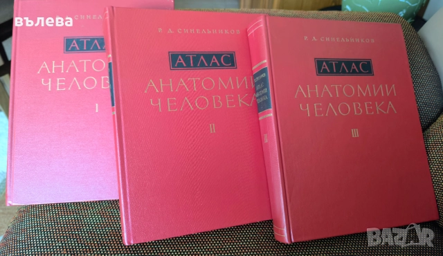 Атласи по анатомия на човека 