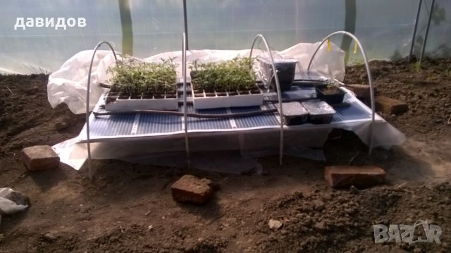 Отопление за оранжерия, разсадник, маса за разсад , парник.Сушилня!, снимка 10 - Стайни растения - 34264703
