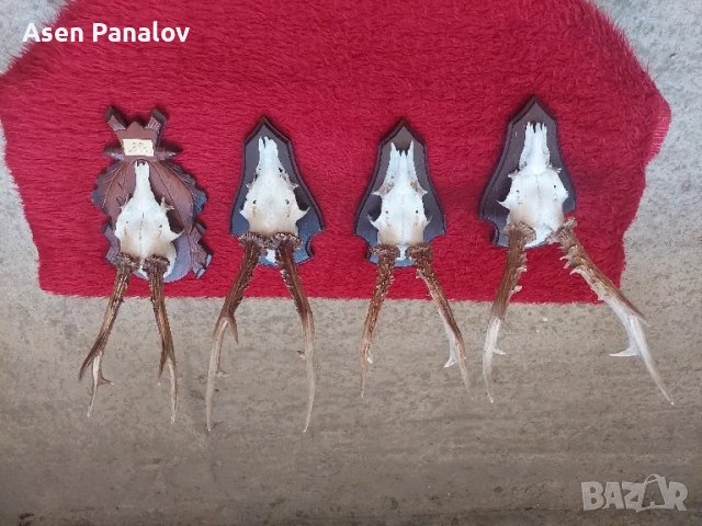 Трофей 4 бр, снимка 3 - Колекции - 50307684