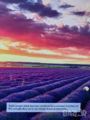 Приключенски дневник, снимка 6 - Други - 38348670