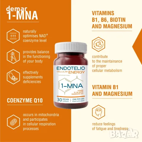 Ендотелио клетъчна 1-MNA, оптимизиране на NAD+, анти стареене с CoQ10, магнезий и В комплекс, снимка 2 - Хранителни добавки - 47650307