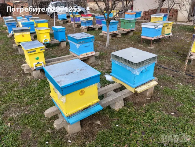 Пчелни отводки