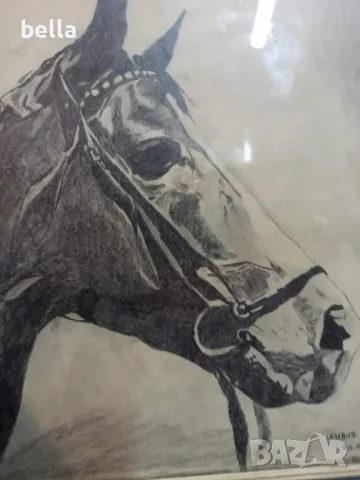Рамкирана картина рисунка глава на кон 1989, снимка 2 - Картини - 47365713
