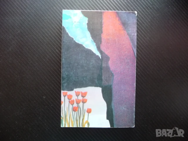 Жената на баща ми Елена Огнянова рядка книга хубава, снимка 3 - Българска литература - 51064500