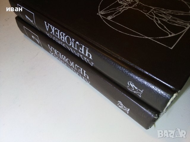 Анатомия Человека 1 и 2 том - Е.Борзяк,Л.Волкова,Е.Доброволская,В.Ревазов,М.Сапин - 1993г., снимка 15 - Специализирана литература - 38687965