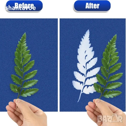 Слънчева хартия за вземане на отпечатъци, снимка 5 - Образователни игри - 51114391