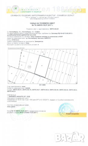 Земеделска земя , снимка 6 - Земеделска земя - 32792371