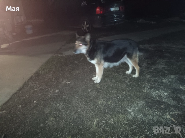 Бебета копойчета, снимка 8 - Други - 52566062