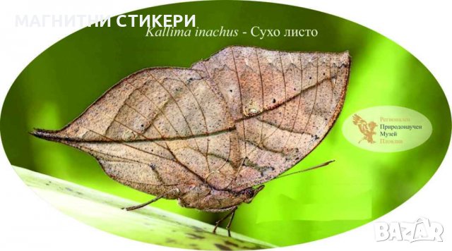 Магнитни стикери по индивидуални поръчки минимална бройка 1000 , снимка 3 - Празнични оферти - 39718681