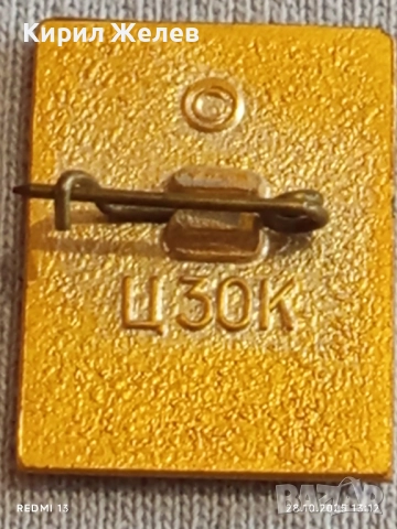 Значка АЛЕНИТЕ ПЛАТНА на Руския писател АЛЕКСАНДЪР ГРИЙН уникат за КОЛЕКЦИОНЕРИ 47934, снимка 6 - Колекции - 52210502