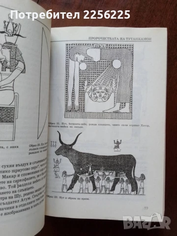 Пророчествата на Тутанкамон, снимка 2 - Художествена литература - 50934356
