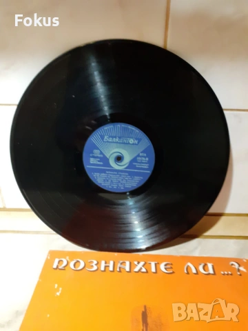 Стара голяма грамофонна плоча, снимка 5 - Антикварни и старинни предмети - 53390756