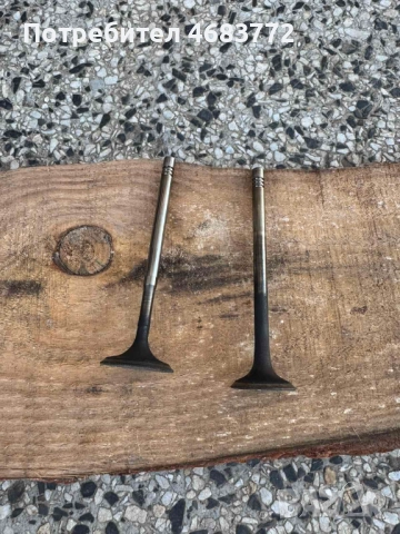 Всмукателен и Изпускателен клапан за 1.4Tsi Vag Grup само по 5лв. броя 036109611K 036109601S