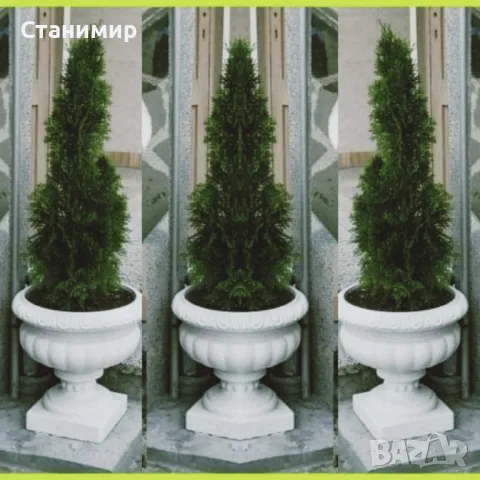 циментови кашпи, снимка 3 - Саксии и кашпи - 48696722