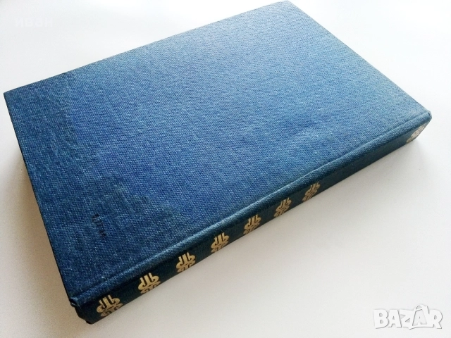 Анелка - Болеслав Прус - 1981г., снимка 4 - Художествена литература - 52904592