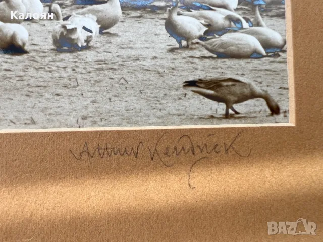 Фотография с паспарту на американския фотограф Артур Кендрик, снимка 2 - Антикварни и старинни предмети - 49977598