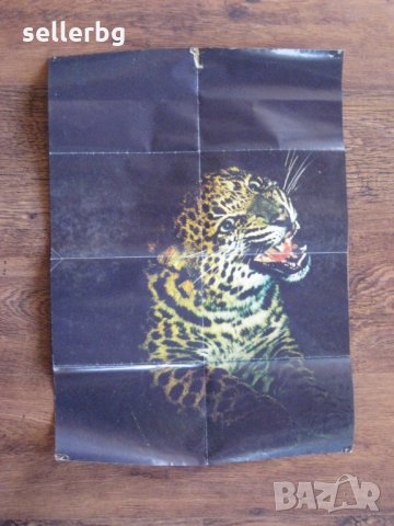 Плакат на Зоологическата градина в София от началото на 90-те години, снимка 6 - Колекции - 27662860