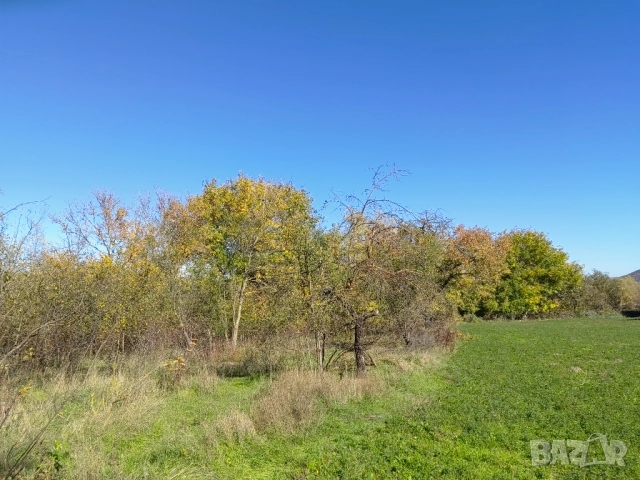 Продава равен парцел в регулация 991 кв.м – с. Могила, обл. Шумен, снимка 3 - Парцели - 50963816