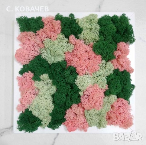 Уникални, модерни,свежи живи картини от естествен мъх.Градина в дома, снимка 12 - Декорация за дома - 19336040