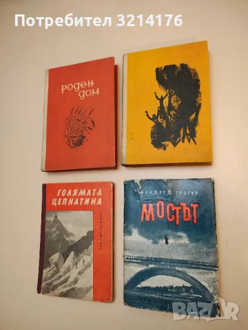 Мостът - Манфред Грегор