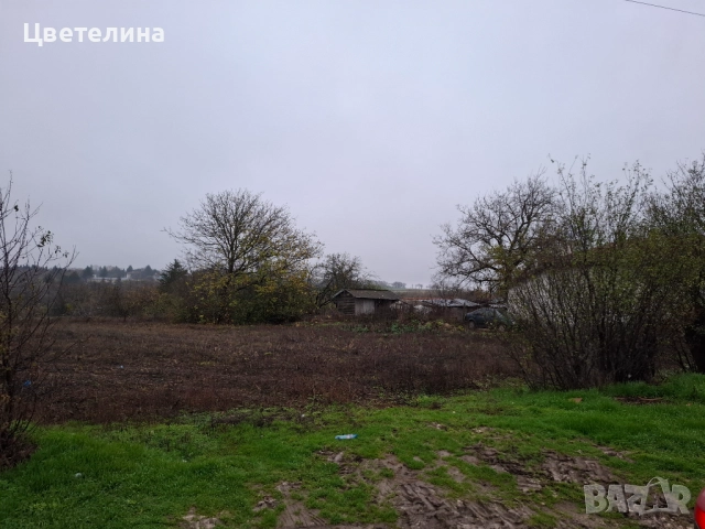 Дворно място Житница Добрич СПЕШНО, снимка 4 - Парцели - 52746056