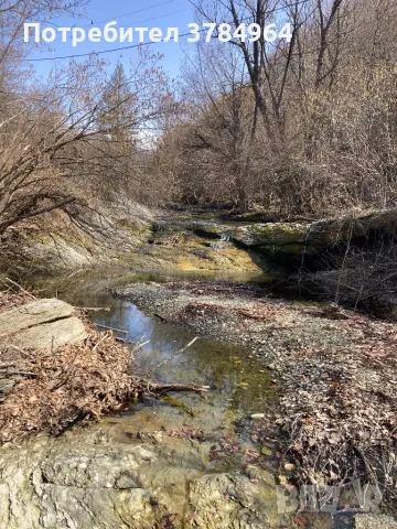 Продава се гр.Елена с.Веселина, снимка 8 - Парцели - 49548813