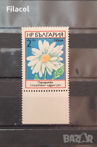 Полски цветя.. 1973