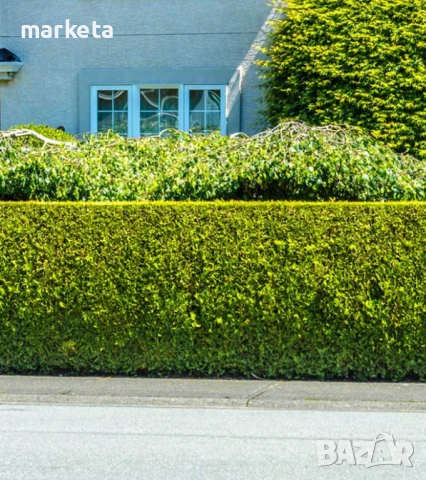 Тревна ограда - мрежа, снимка 7 - Огради и мрежи - 50543148