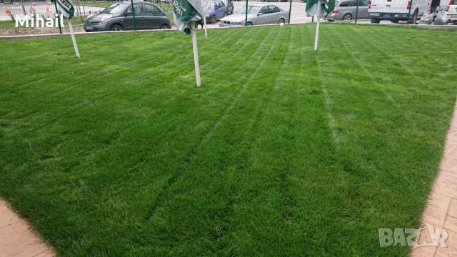 Продажба на тревен чим- 17лв/кв.м.Полагане на тревен чим(27лв./кв.м.- чимът е включен в цената), снимка 13 - Други - 32785334