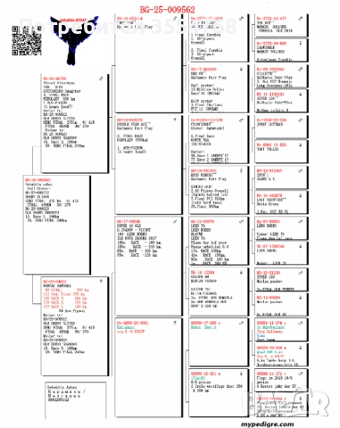 Продавам спортни гълъби , снимка 9 - Гълъби - 52929378