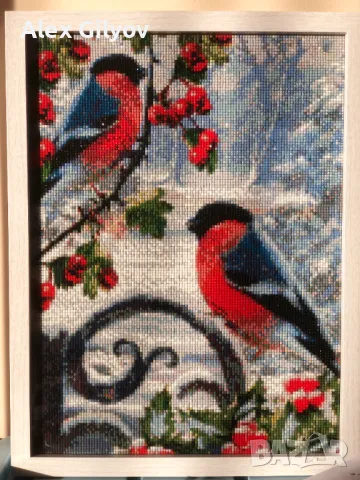 Диамантена мозайка "Червенушки"