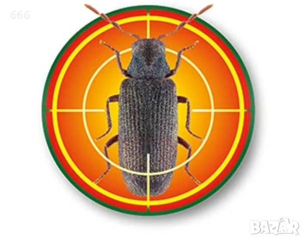 Спрей за унищожаване на дървесни червеи (500 мл, бледожълта течност), снимка 8 - Други стоки за дома - 53287902