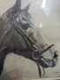 Рамкирана картина рисунка глава на кон 1989, снимка 2