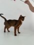 Продавам родословни абисински котета, снимка 3